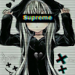 Meet your Posher, Erika